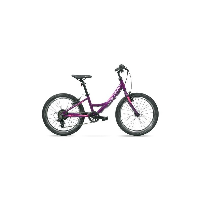 GALAXY KOMETA 20" FIALOVÁ GALAXY KOMETA 20" FIALOVÁ