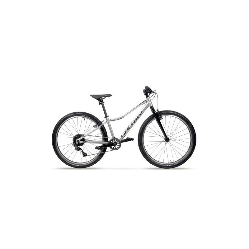 GALAXY ORBIT 26" STŘÍBRNÁ GALAXY ORBIT 26" STŘÍBRNÁ