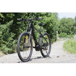 ELEKTROKOLO TOTEM MAURICE PRO 29" ČERNÁ