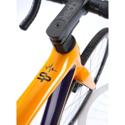 STEVENS 2024 SUPER PRESTIGE 2X12 ŽLUTO/FIALOVÁ