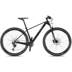 Horské kolo 4EVER INEXXIS TEAM carbon/metal stříbrná