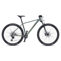 Horské kolo 4EVER PRODIGY RACE chameleon/iron
