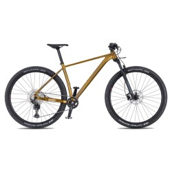 Horské kolo 4EVER TRINITY RACE jungle gold/iron