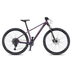 Dámské horské kolo 4EVER YOGA PURPLE 29 Lady purple/hologram