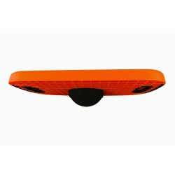 Aerobic step